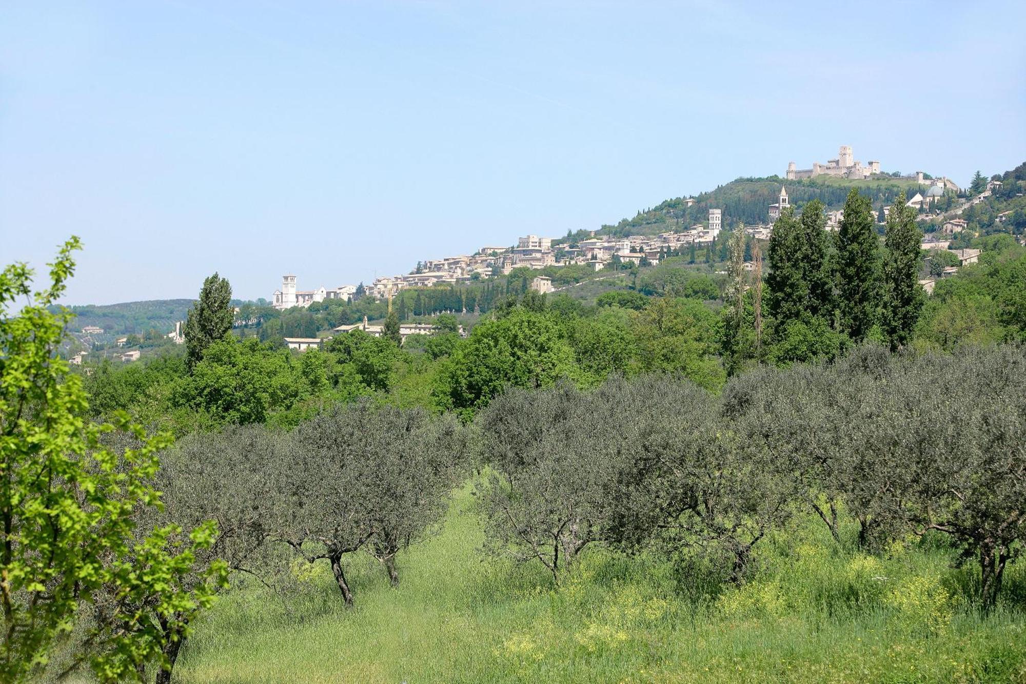 Country House Poggio Fiorito Assisi Eksteriør bilde